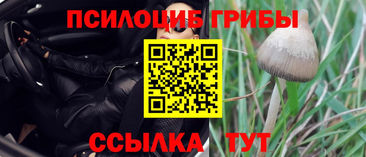 Codein  Вход с VPN  Кисловодск  Cocaine  ГАШ  Каннабис  МЕФ кристаллы  LSD-25 